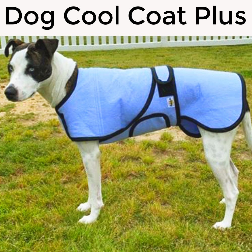 Dog Cool Coat Plus